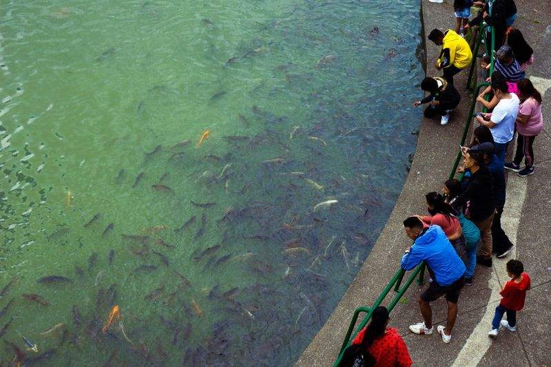 日常サポート株式会社 - Image 4